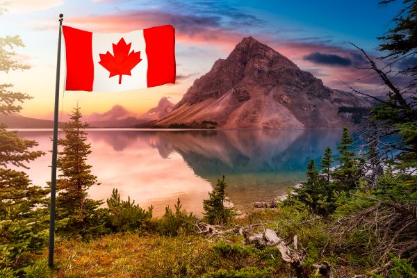 Canada’s Full Denture Summary